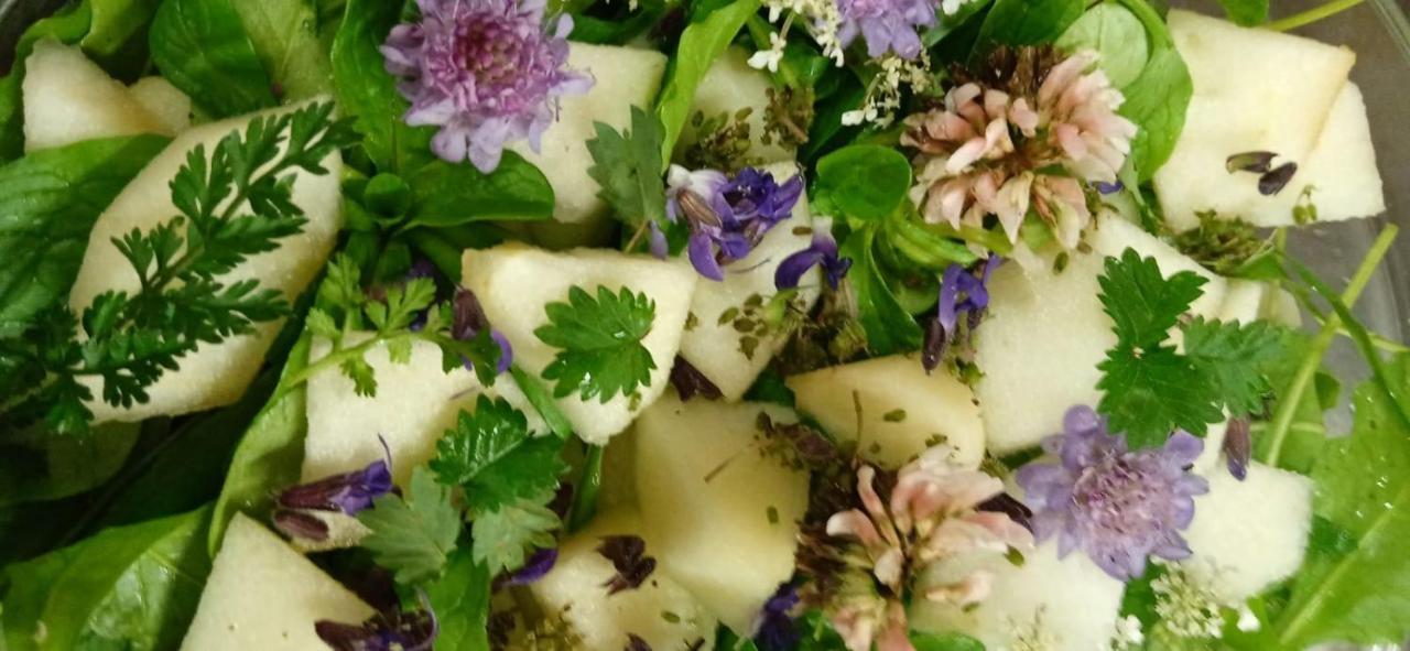 Agriturismo Con Cucina Tipica Nuova Scardua Cavriana Zewnętrze zdjęcie
