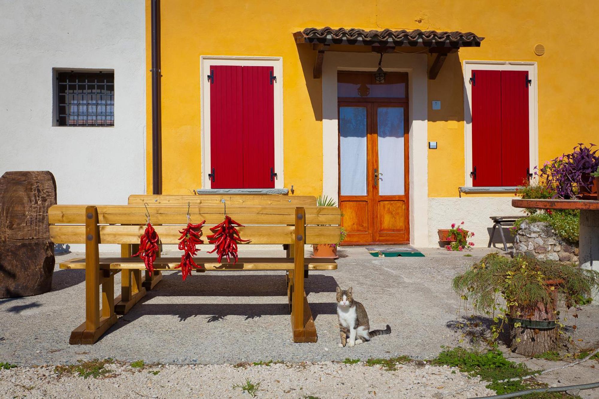 Agriturismo Con Cucina Tipica Nuova Scardua Cavriana Zewnętrze zdjęcie