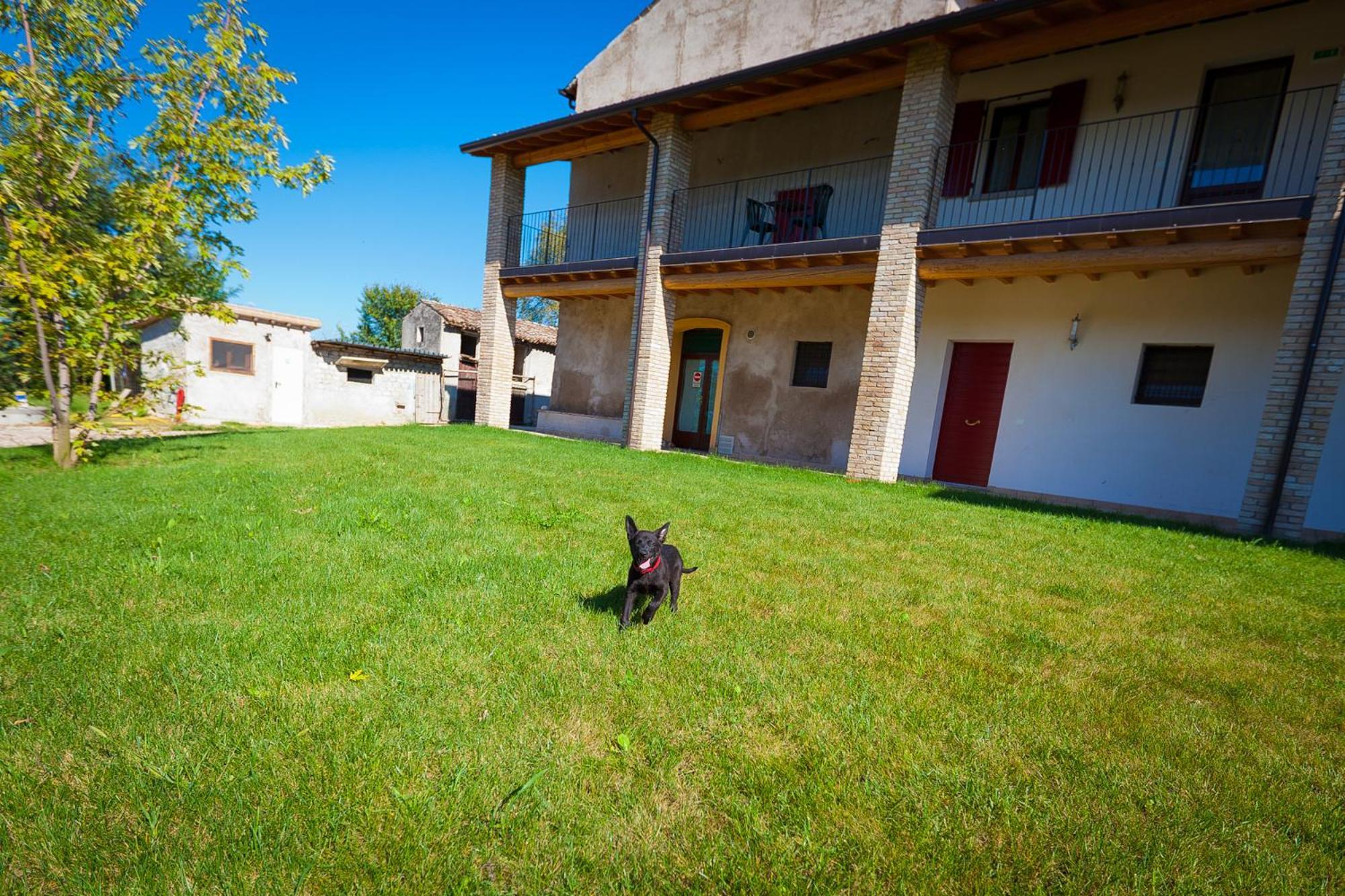 Agriturismo Con Cucina Tipica Nuova Scardua Cavriana Zewnętrze zdjęcie