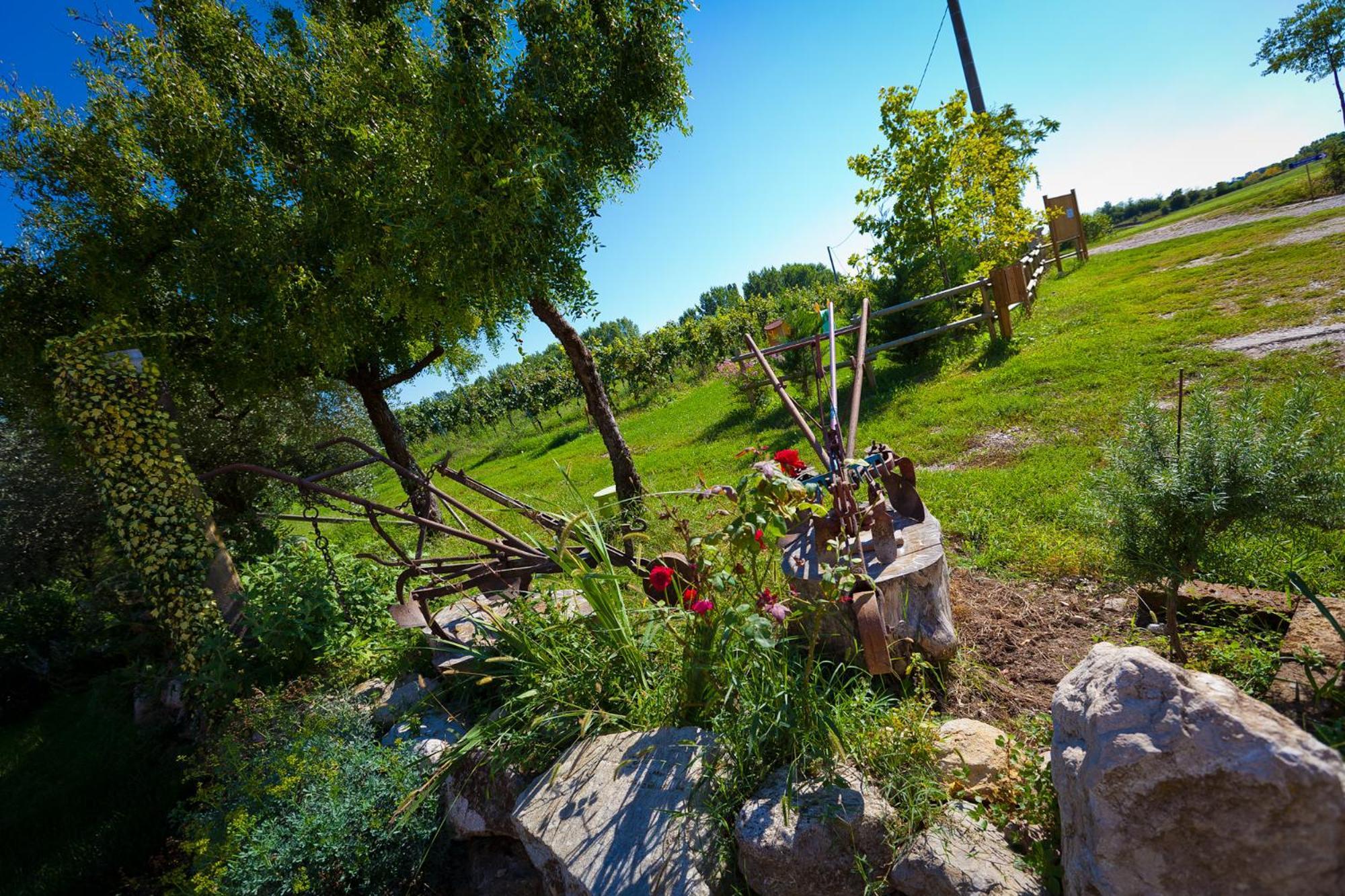 Agriturismo Con Cucina Tipica Nuova Scardua Cavriana Zewnętrze zdjęcie