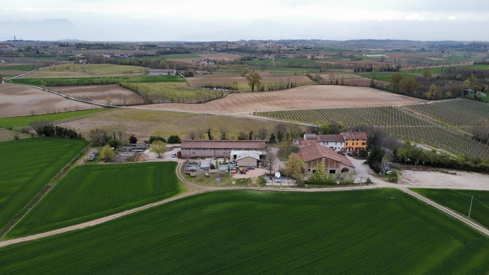 Agriturismo Con Cucina Tipica Nuova Scardua Cavriana Zewnętrze zdjęcie
