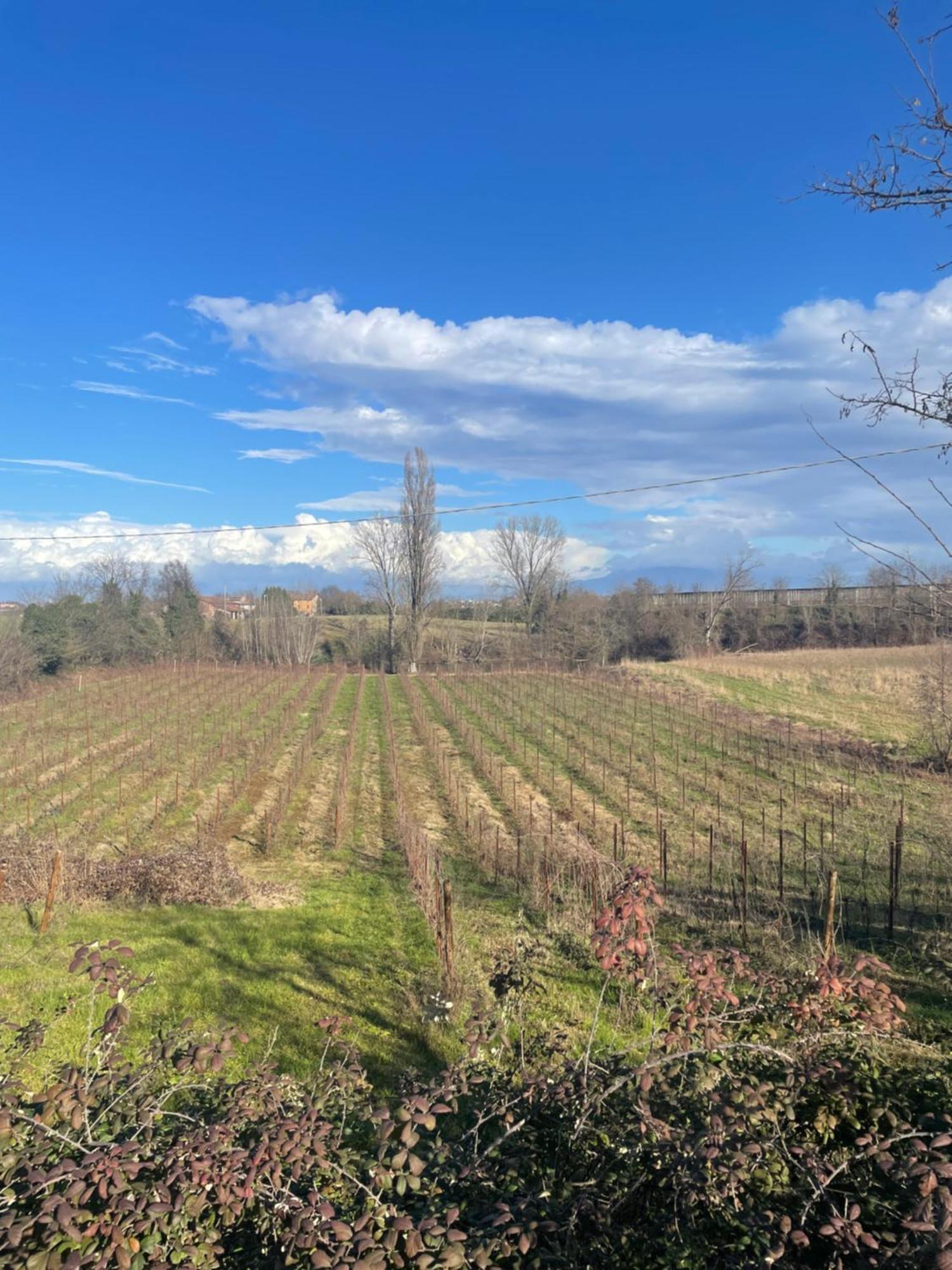 Agriturismo Con Cucina Tipica Nuova Scardua Cavriana Zewnętrze zdjęcie