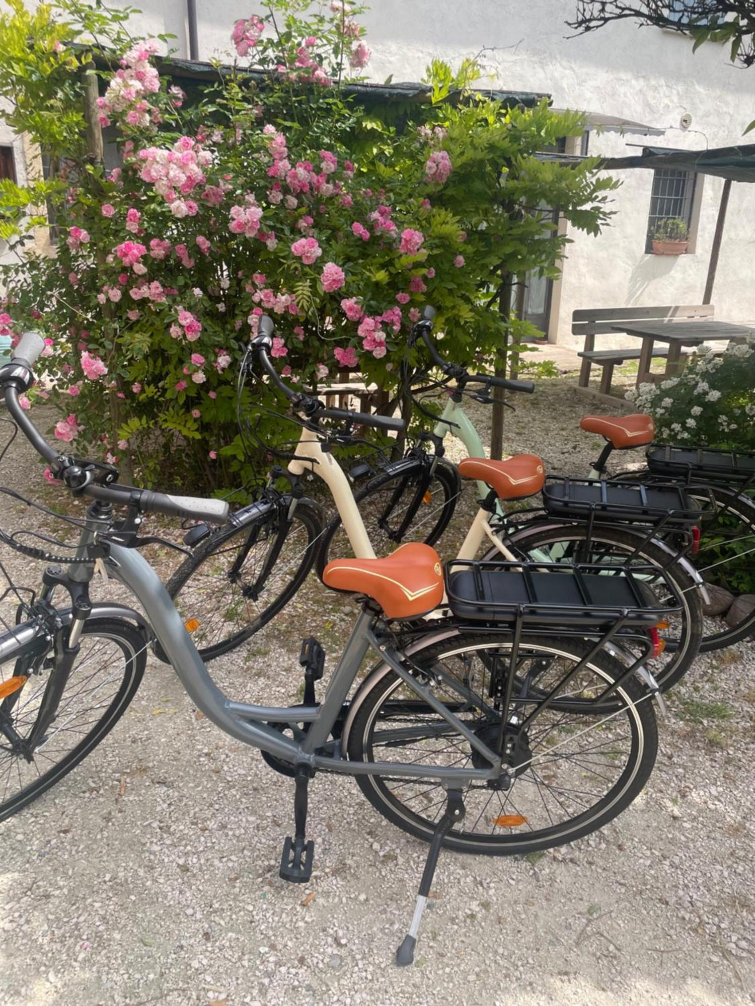 Agriturismo Con Cucina Tipica Nuova Scardua Cavriana Zewnętrze zdjęcie